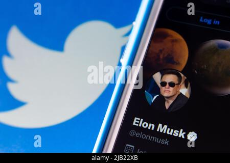 Elon Musk compte twitter sur un iPhone sur le logo Twitter bg. En avril 2022, Twitter a annoncé que Musk se joindra au conseil d'administration de Twitter Banque D'Images