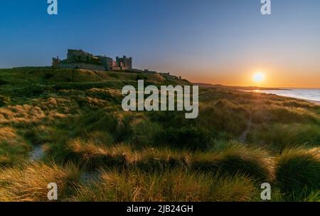 Château de Bamburgh depuis le sud Banque D'Images