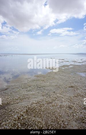 15 mai 2022 Aksaray Turquie. TUZ golu Lac de sel à Aksaray par une journée nuageux Banque D'Images