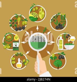 Choix d'olives composition plate sur fond de sable avec loupe à la main, illustration des fruits et des vecteurs d'huile Illustration de Vecteur