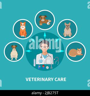 Vétérinaire soins plat rond icônes composition fond poster avec vétérinaire médecin centre entouré par animal vecteur illustration Illustration de Vecteur