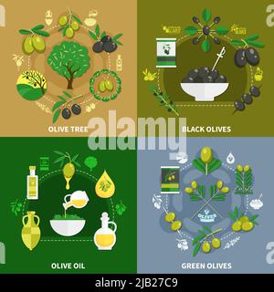Conception plate avec olives vertes et noires, arbre, huile dans la carafe et illustration vectorielle isolée en bouteille Illustration de Vecteur