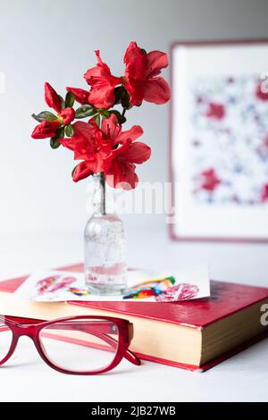 Une branche d'un azalée fleuri dans un vase en verre contre le fond d'une image botanique, un herbier de fleurs d'azalée séchées. Fleurs rouges Banque D'Images