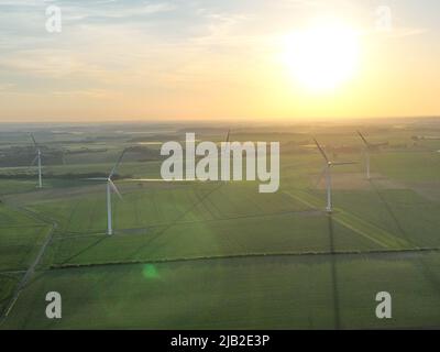 Vue aérienne d'un champ de blé avec des éoliennes par une journée ensoleillée ; la scène est pleine d'air frais et d'une agriculture luxuriante. Banque D'Images