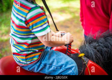 Belle petite fille à cheval poney, vue de tenir avec les mains Banque D'Images