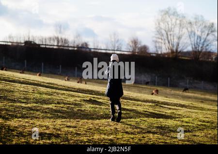 Jeune garçon faisant la photo de roe deers au début du printemps pré. Banque D'Images