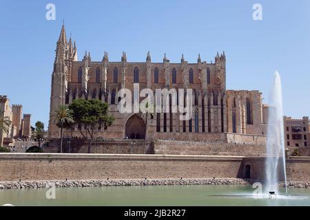 Espagne, Iles Baléares, Majorque, Palma de Majorque, la Seu Cathédrale catholique romaine gothique de Santa Maria avec fontaine en premier plan. Banque D'Images