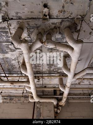 Abandon de l'ancien siège social mondial d'American Motors, Plymouth Road Office Center (PROC), Detroit, Michigan, États-Unis Banque D'Images