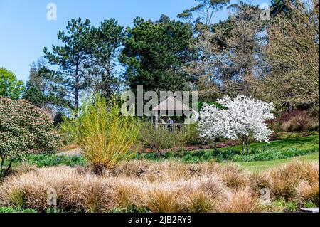 Belvédère surplombant Clover Hill, au bord du jardin australien et néo-zélandais, à RHS Hyde Hall. Banque D'Images