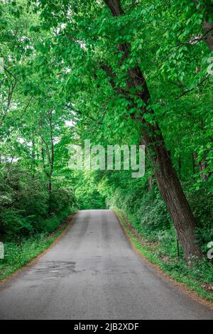 McConnells Mill est un parc national populaire dans l'ouest de Pennsylvanis. Ses points de repère dominants sont le moulin à grate et le pont couvert de rouge qui traverse Slipper Banque D'Images