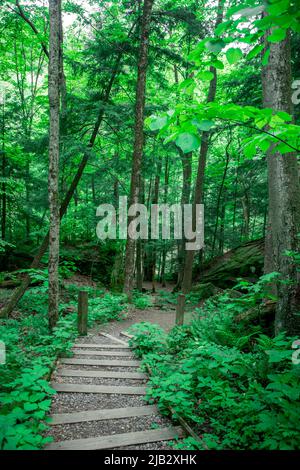 McConnells Mill est un parc national populaire dans l'ouest de Pennsylvanis. Ses points de repère dominants sont le moulin à grate et le pont couvert de rouge qui traverse Slipper Banque D'Images