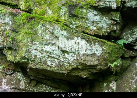 McConnells Mill est un parc national populaire dans l'ouest de Pennsylvanis. Ses points de repère dominants sont le moulin à grate et le pont couvert de rouge qui traverse Slipper Banque D'Images