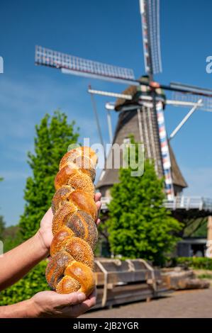 Pain tressé frais avec différentes graines et moulin à vent de grain sur fond, Brabant du Nord, pays-Bas Banque D'Images