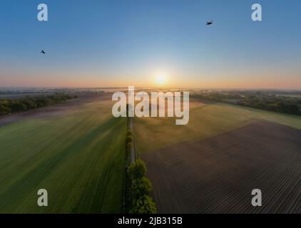 Drone aérienne photo d'une belle plantation agricole verte et jaune bordant les forêts sauvages en Belgique, en Europe avec les rayons dorés du soleil créant une couverture magique sur les champs de ferme verts. Champs de légumes, vignobles. Croissance industrielle massive de la culture alimentaire écologique. Photo de haute qualité Banque D'Images