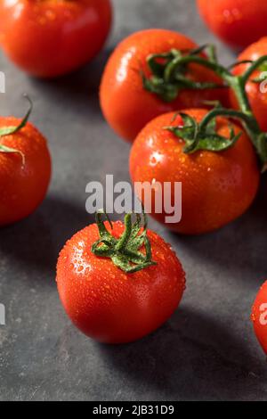 Tomates rouges crues mûres de vigne biologique prêtes à manger Banque D'Images