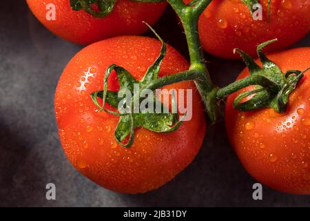 Tomates rouges crues mûres de vigne biologique prêtes à manger Banque D'Images
