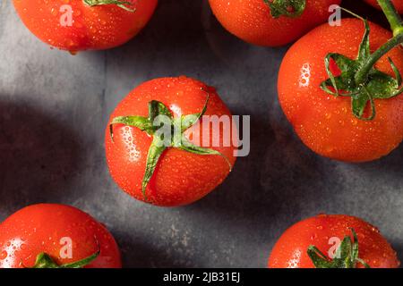 Tomates rouges crues mûres de vigne biologique prêtes à manger Banque D'Images