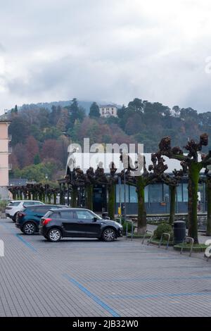 Bellagio, Italie, novembre 2021. Une petite station balnéaire pittoresque de Bellagio, en Italie, sur les rives du lac de Côme. Arbres noirs sur le front de mer de t Banque D'Images