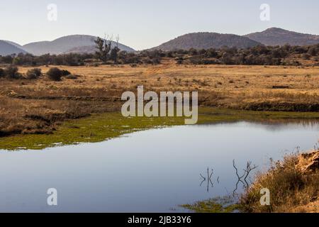 Un petit lac, dans le brousse de l'Afrique du Sud rurale, avec les collines du Vredefort Dome en arrière-plan Banque D'Images