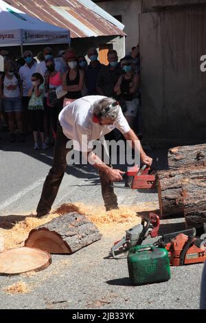 Sculpteur sur bois, Fête du village de Vars Sainte-Marie un 15 août, Hautes-Alpes Banque D'Images