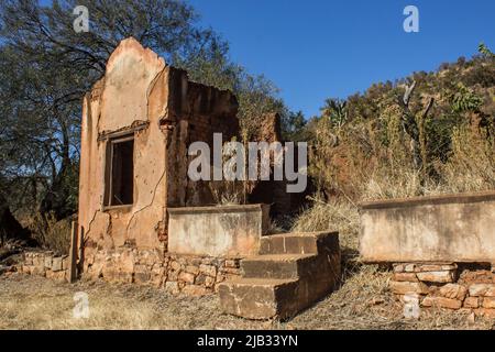 L'ancienne ruine abandonnée d'une ferme dans l'État libre rural, juste à l'extérieur de la ville de Parys, en Afrique du Sud, surcultivée avec Kaki Bush Banque D'Images