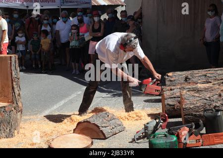 Sculpteur sur bois, Fête du village de Vars Sainte-Marie un 15 août, Hautes-Alpes Banque D'Images