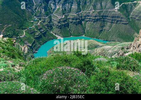 paysage de montagne de printemps avec des mousses en fleurs campion en premier plan et rivière bleue floue dans la vallée en arrière-plan Banque D'Images