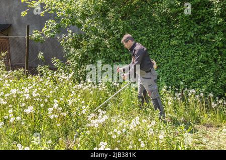 Un homme tond de l'herbe sur sa propriété avec un coupe-herbe à essence Banque D'Images