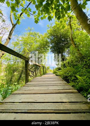 Sentier en haut de la falaise dans la baie de Robin Hood dans le Yorkshire Banque D'Images