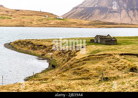 Le musée des requins Bjarnahöfn est situé sur la péninsule Snæfellsness à environ 170 km de Reykjavik. Grundarfjörður, Islande Banque D'Images