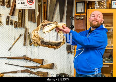 Guðjón Hildibrandsson est le directeur du musée à la gestion familiale Bjarnahöfn Shark. Il utilise une bouche de requin pour démontrer le comportement alimentaire des requins. Bjarnarhöfn Musée du requin d'Islande, où le mystère du requin fermenté est résolu. Ici la dentition d'un requin du Groenland est présentée Banque D'Images