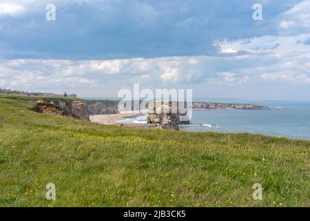 Vue sur la côte à Leas, Marsden, South Tyneside, Royaume-Uni. Banque D'Images