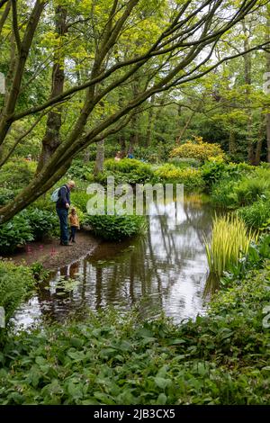 Les gens admirent le jardin de l'étang à la tour Lilburn, près de Wooler, Northumberland, Royaume-Uni, un manoir de jardins ouverts par le National Gardens Scheme. Banque D'Images