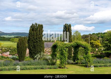 Cottage vue sur le jardin à la Tour de Lilburn, à proximité. Wooler, Northumberland, Royaume-Uni, une maison de maître de jardins ouverte par le National Gardens Scheme. Banque D'Images