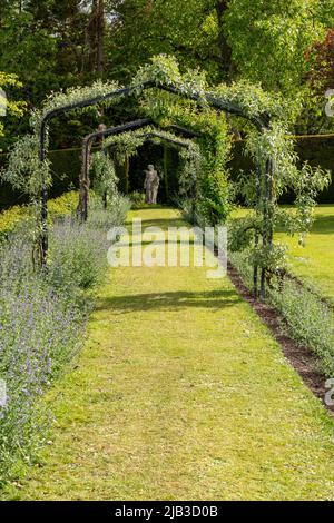 La pergola à la tour de Lilburn, près. Wooler, Northumberland, Royaume-Uni, une maison de maître de jardins ouverte par le National Gardens Scheme. Banque D'Images