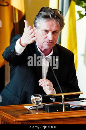 Heidelberg, Allemagne. 02nd juin 2022. La ministre des Affaires sociales du Bade-Wurtemberg, Manne Lucha (Bündnis 90/Die Grünen), prend la parole au Conseil municipal de Heidelberg. La réunion porte sur l'avenir de l'ancienne prison de Fauler Pelz. Credit: Uwe Anspach/dpa/Alamy Live News Banque D'Images