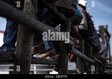 Bottes de cowboy et éperons assis sur la clôture du corral en regardant un rodéo Banque D'Images