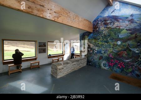 Les observateurs d'oiseaux recherchent des Hen Harriers de l'intérieur de la peau Eddie Balfour à RSPB Cottascarth, Orkney continent, Orkney Islands, Écosse. Banque D'Images