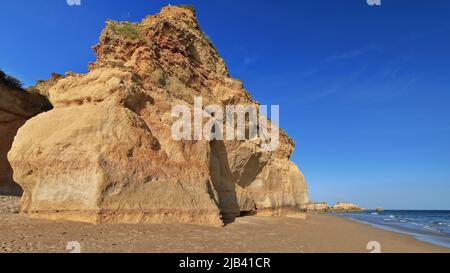 Haut sommet de roche-Praia dos Tres Castelos Beach-mouette sur le dessus. Portimao-Portugal-285 Banque D'Images