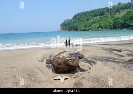 Les vues sur la plage de Pangi, l'eau de mer, le bois usé, les pierres de plage et le sable blanc-noir sont une belle combinaison. Banque D'Images