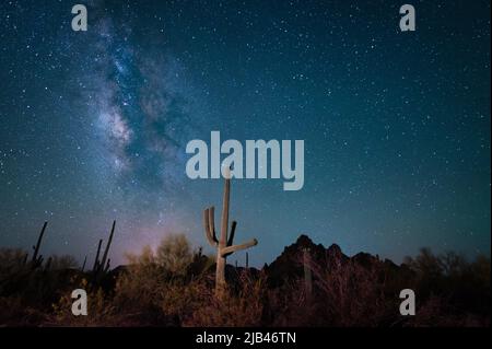 Cactus saguaro à couper le souffle dans le sud-ouest américain avec la voie lactée Banque D'Images