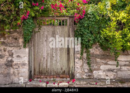 Photo d'une ancienne porte de jardin avec bougainvilliers entourant Banque D'Images