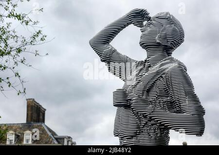 Jardin de fonds de bienfaisance RAF. RHS Chelsea Flower Show 2022 Banque D'Images