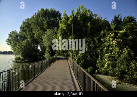 Chemin pavé sur un pont au-dessus d'un lac qui mène à un bosquet au coucher du soleil Banque D'Images