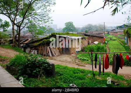 Exploitations agricoles sur la rivière Li à Yangshuo, Guangxi, Chine Banque D'Images