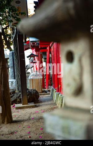 Lanterne au sanctuaire Hanazono à Tokyo en journée Banque D'Images