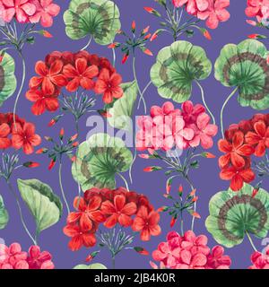 Motif aquarelle sans coutures de fleurs et de feuilles de géranium. Illustration botanique, fond coloré pour le design et la décoration. Banque D'Images