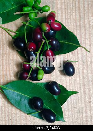 Prune Jambolan fraîche ou prune Java (Syzygium cumini) avec feuille sur table en bois. Banque D'Images