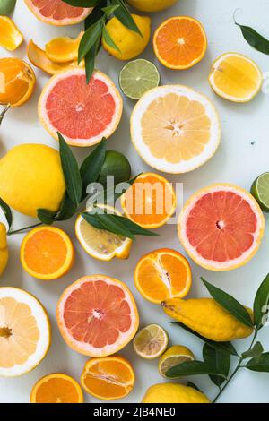 Tranches fraîches de différents types d'agrumes : orange, lime, citron pamplemousse Banque D'Images