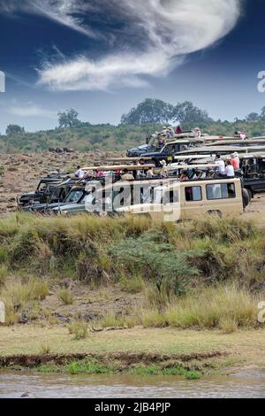 Voitures Safari sur la rivière Mara avec des touristes en attente de migration gnu, Masai Mara, Kenya, Afkka Banque D'Images